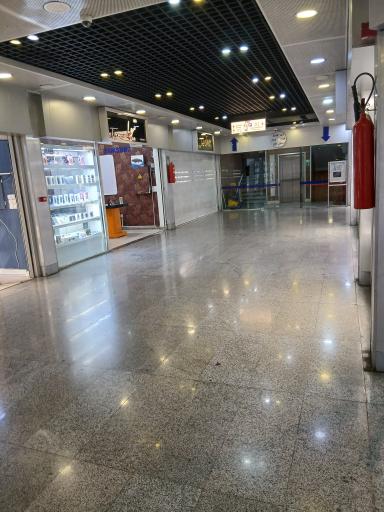 موبایل تیوا