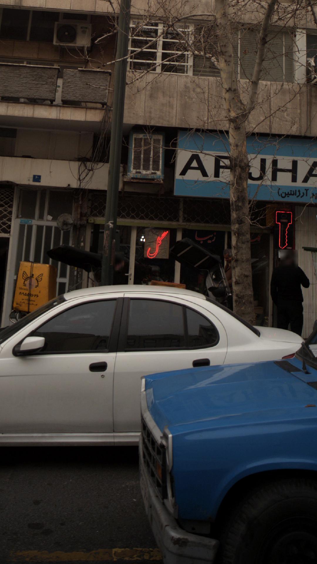 گل زیبا