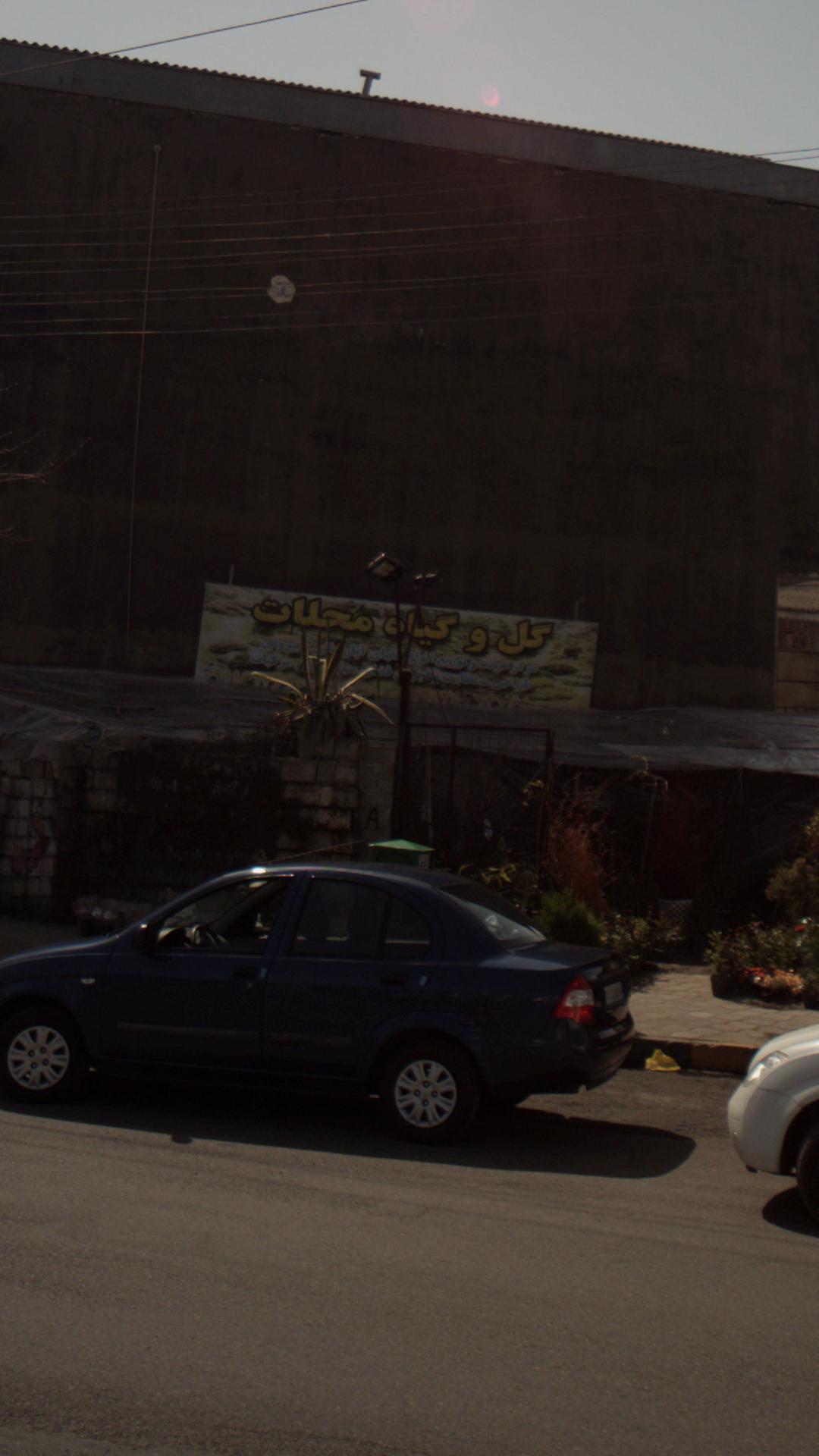 گل و گیاه محلات