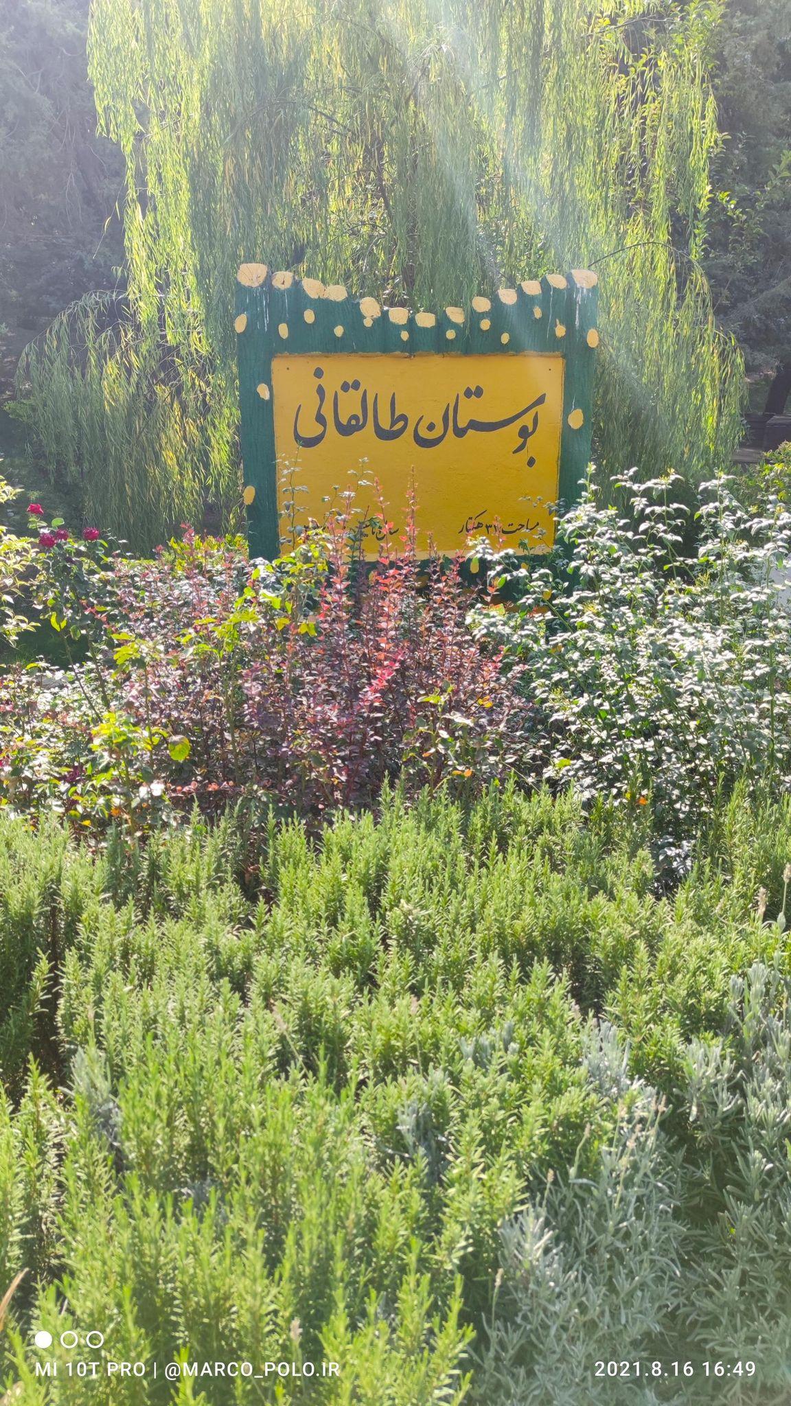 پارکینگ خطی پارک طالقانی