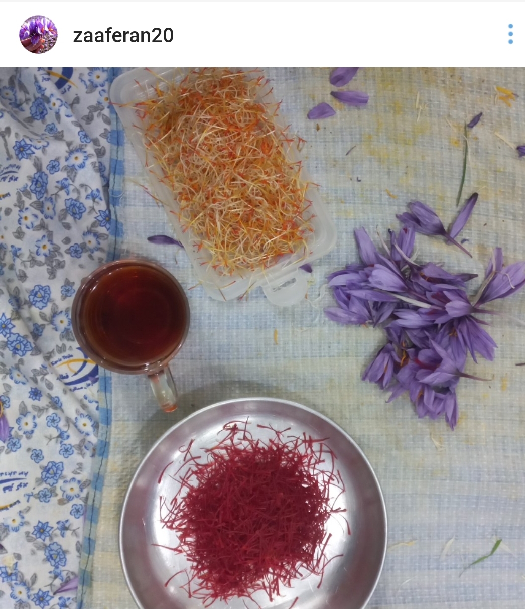 زعفران۲۰