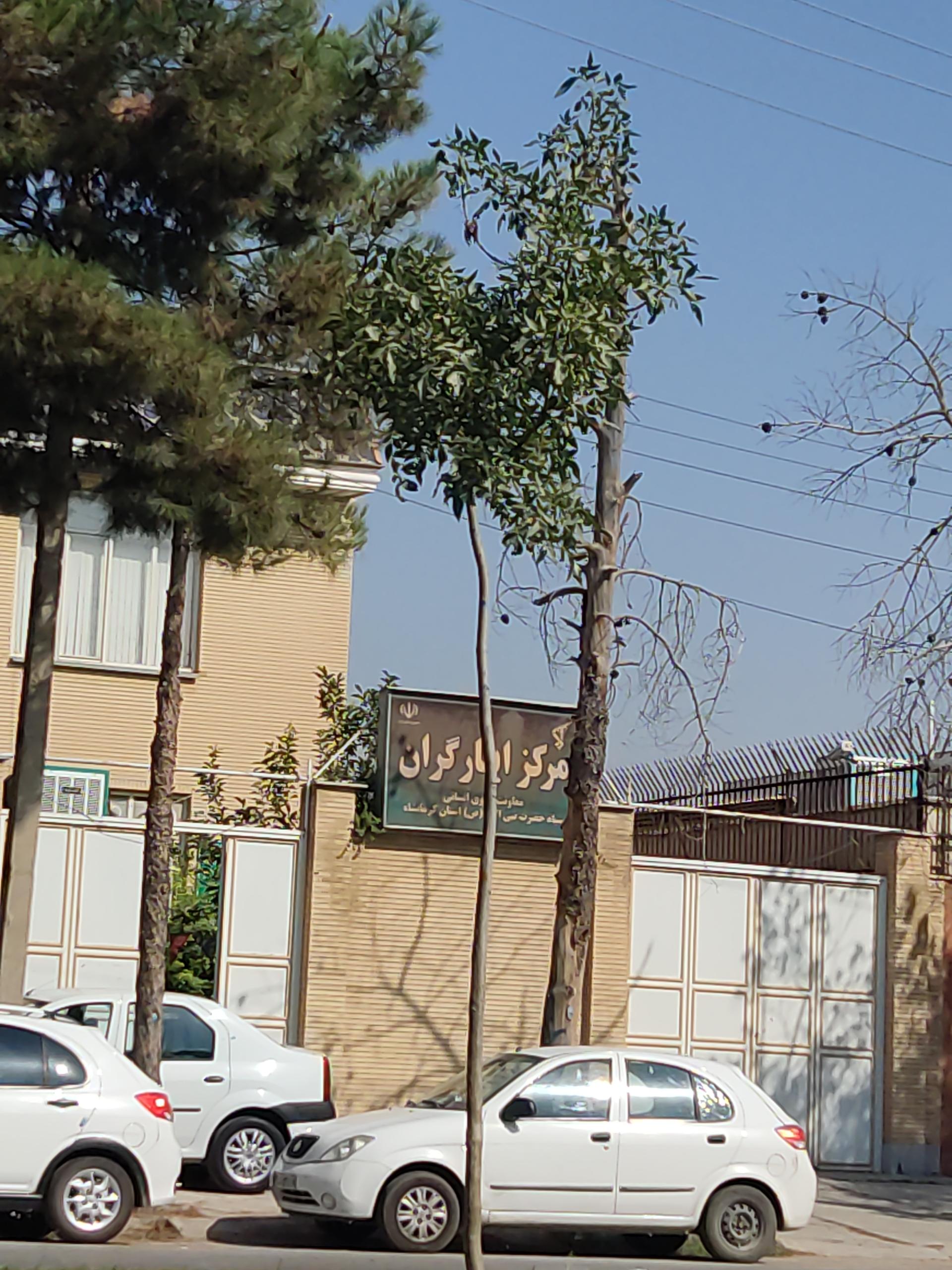 ساتر سبز