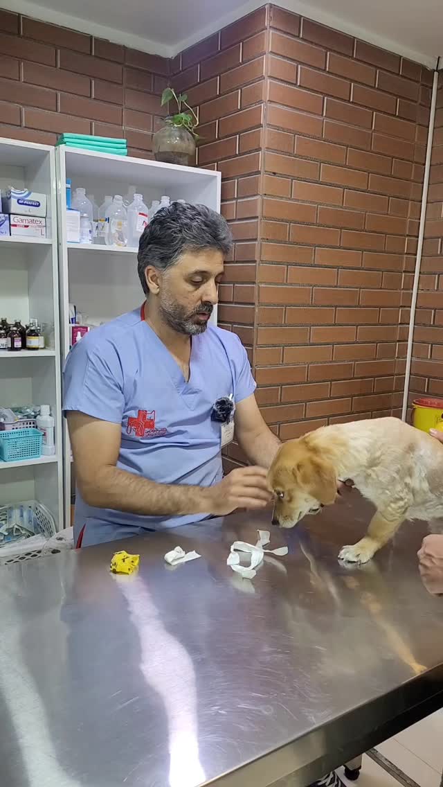 کلینیک دامپزشکی دکتر جولایی