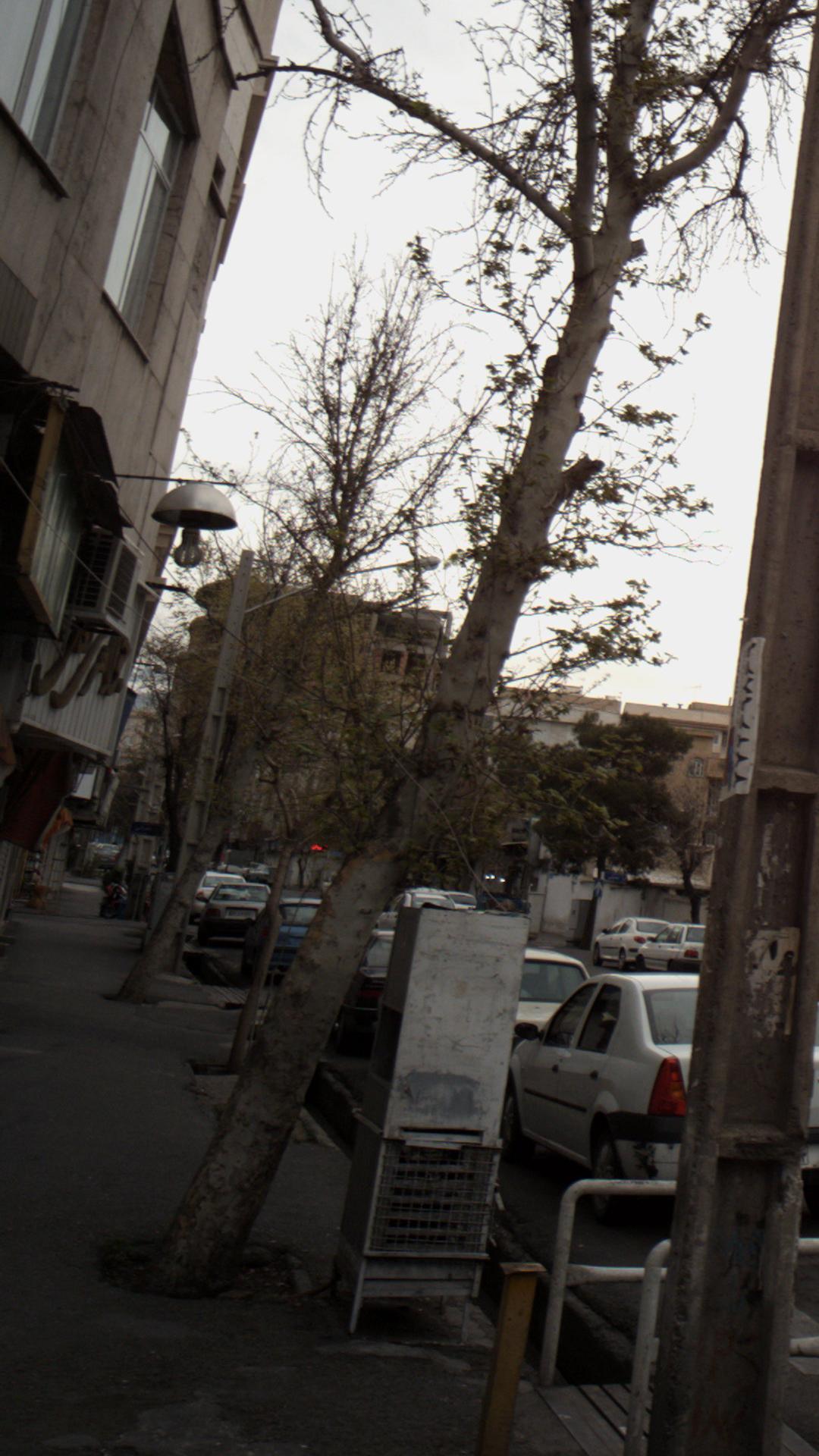 جواهری