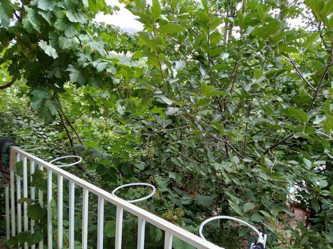 اجاره سوییت کریمی