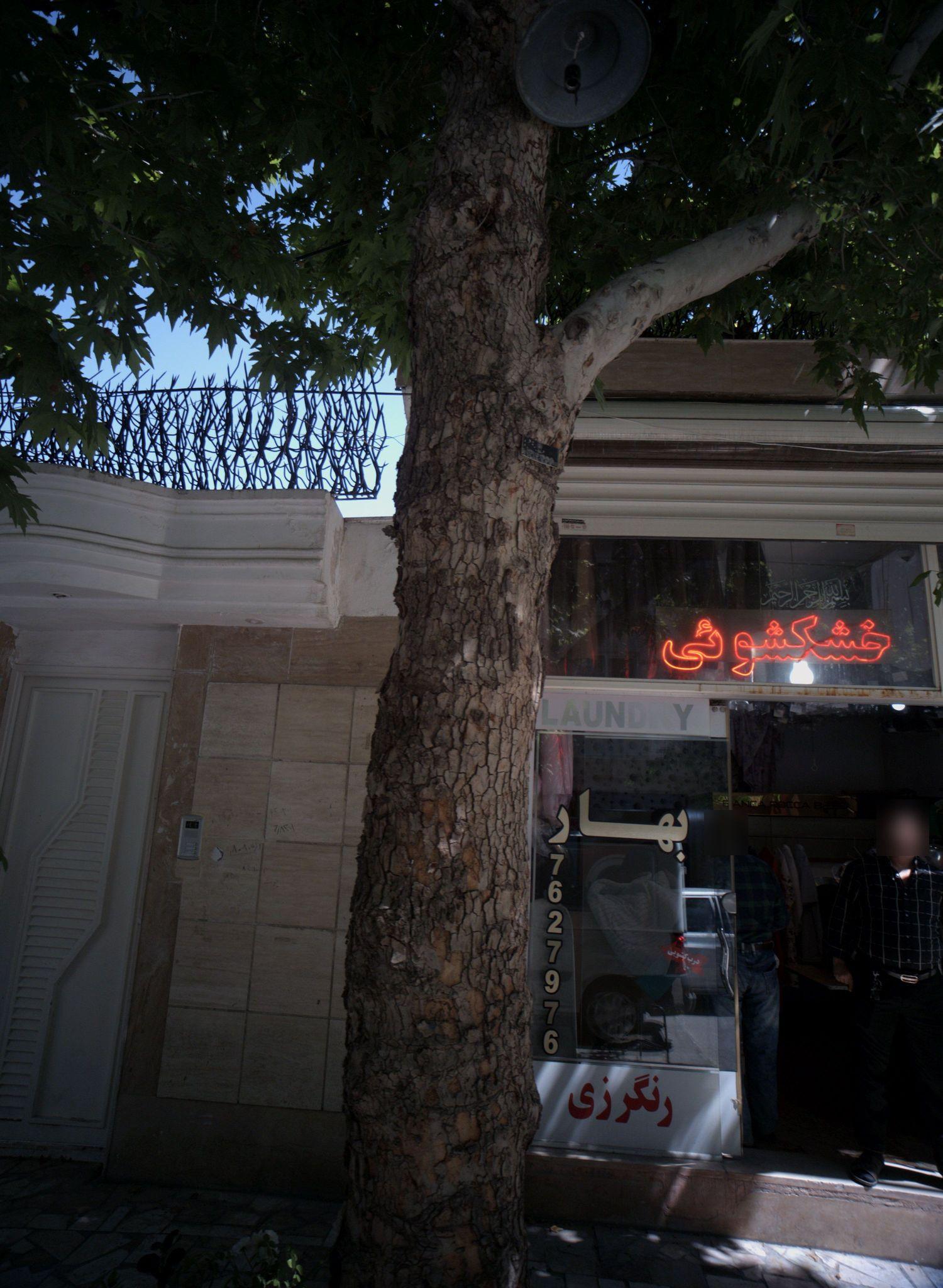 خشکشویی بهار