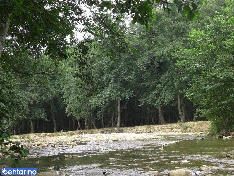 روستای بلیران