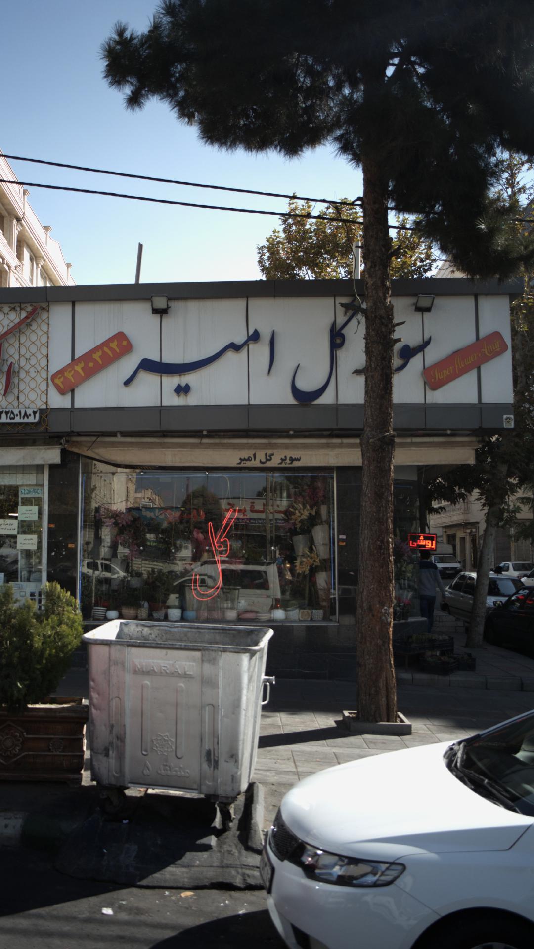 سوپر گل امیر