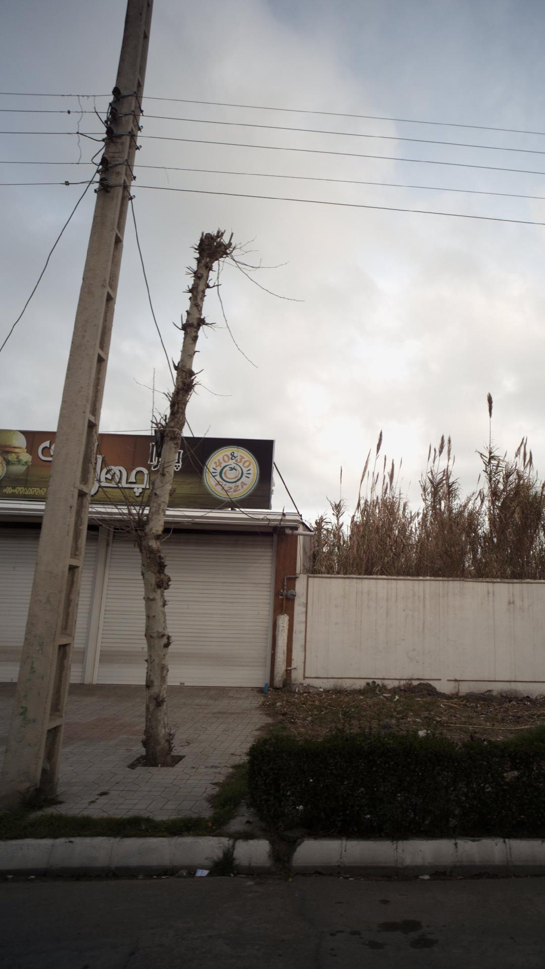 پیتزا چهل و سی