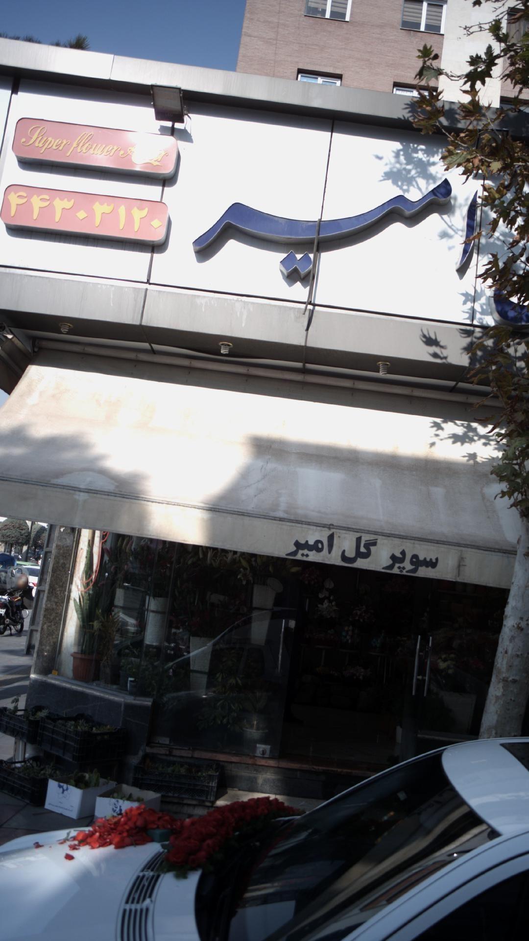 سوپر گل امیر