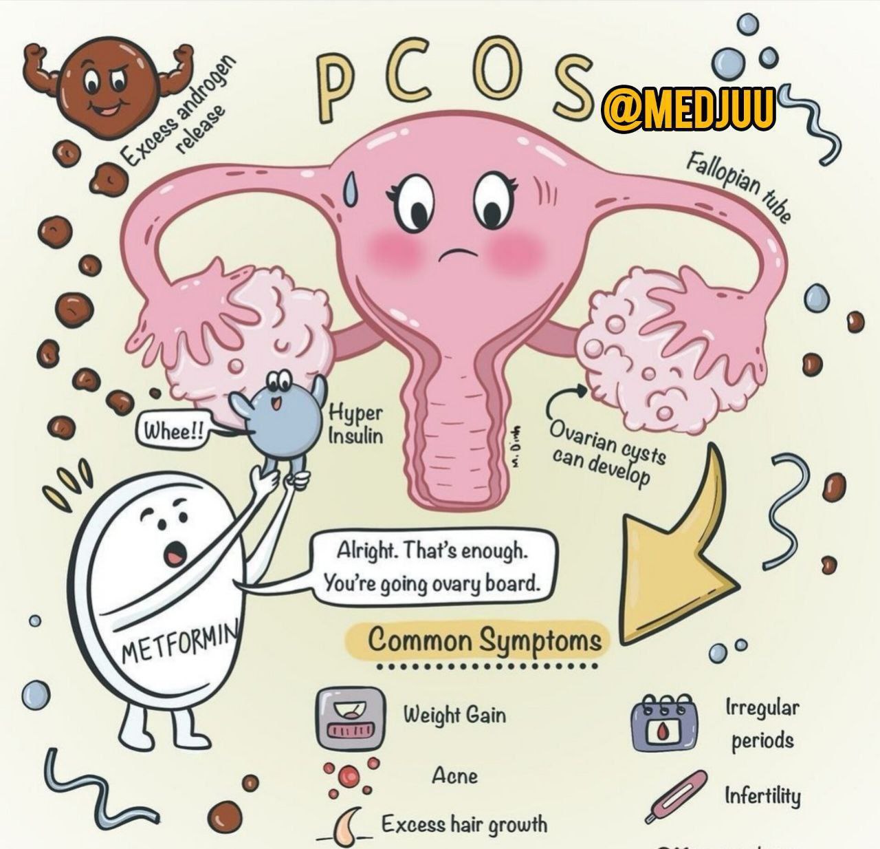 مامایی و زنان و زایمان ساناز سروش
