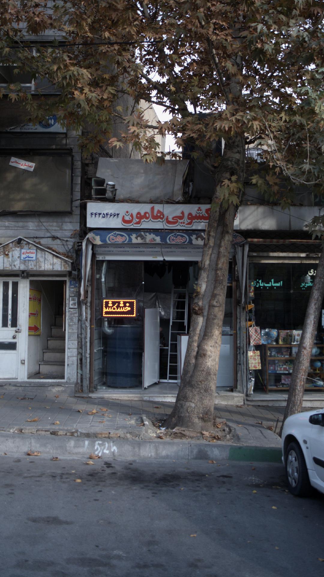 خشکشویی هامون