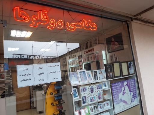عکاسی دو قلوها