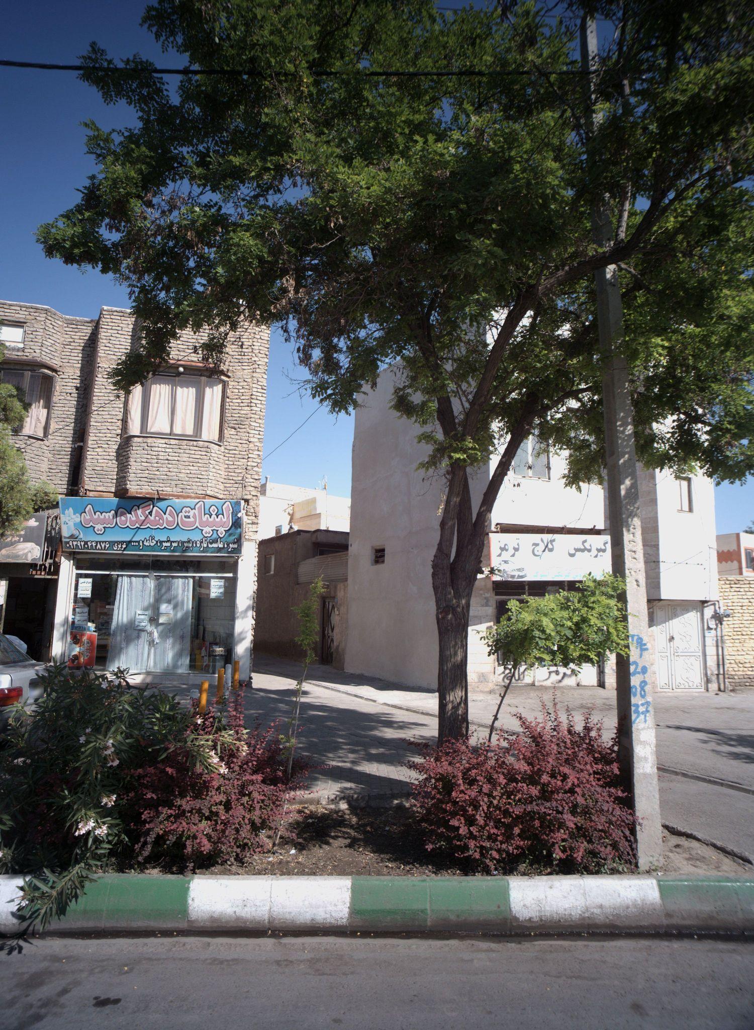 لبنیات دهکده سید