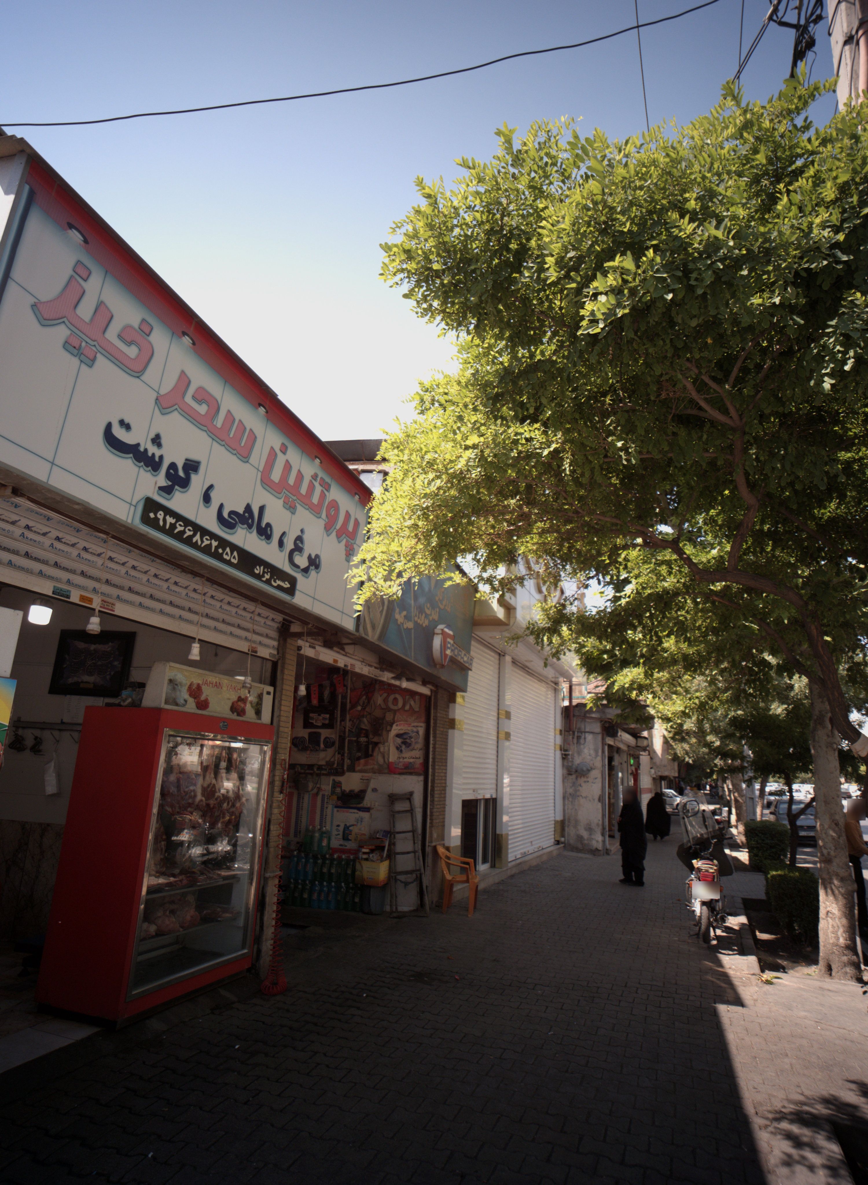 پروتئین سحر خیز