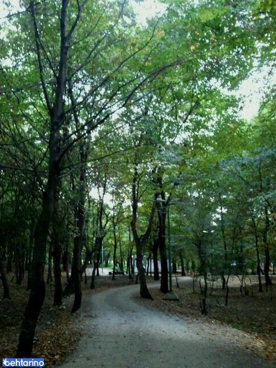 پارک جنگلی هلومسر