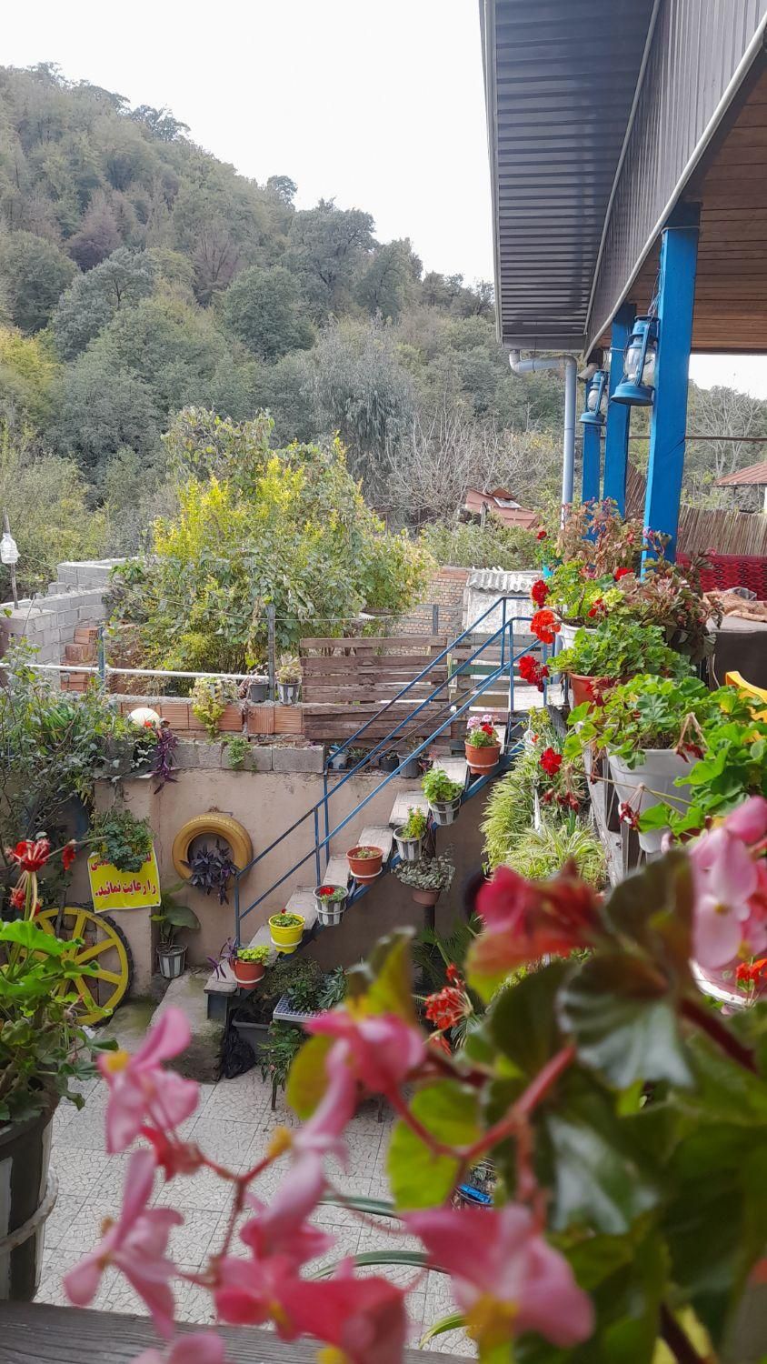 کلبه سوییتی علی آباد