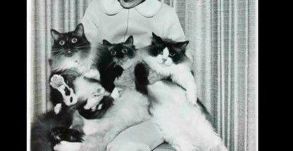 کلینیک دامپزشکی آبادیس