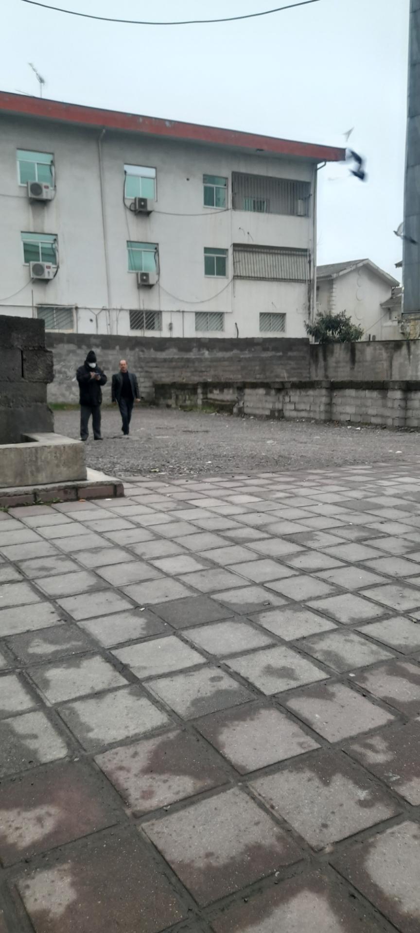 پارکینگ بشردوست