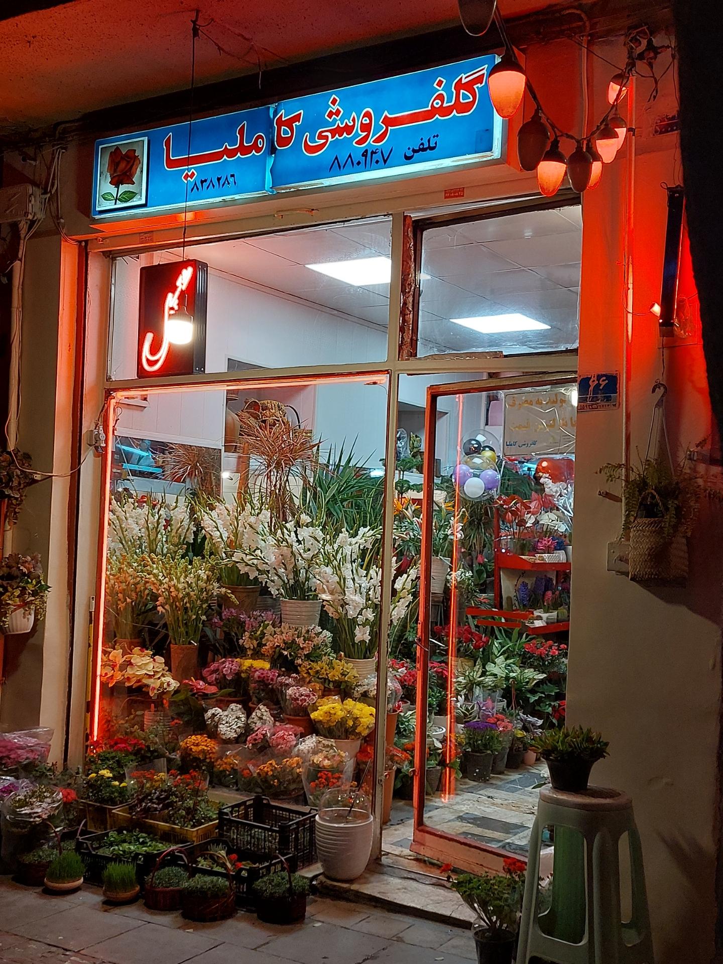 پخش گلچین