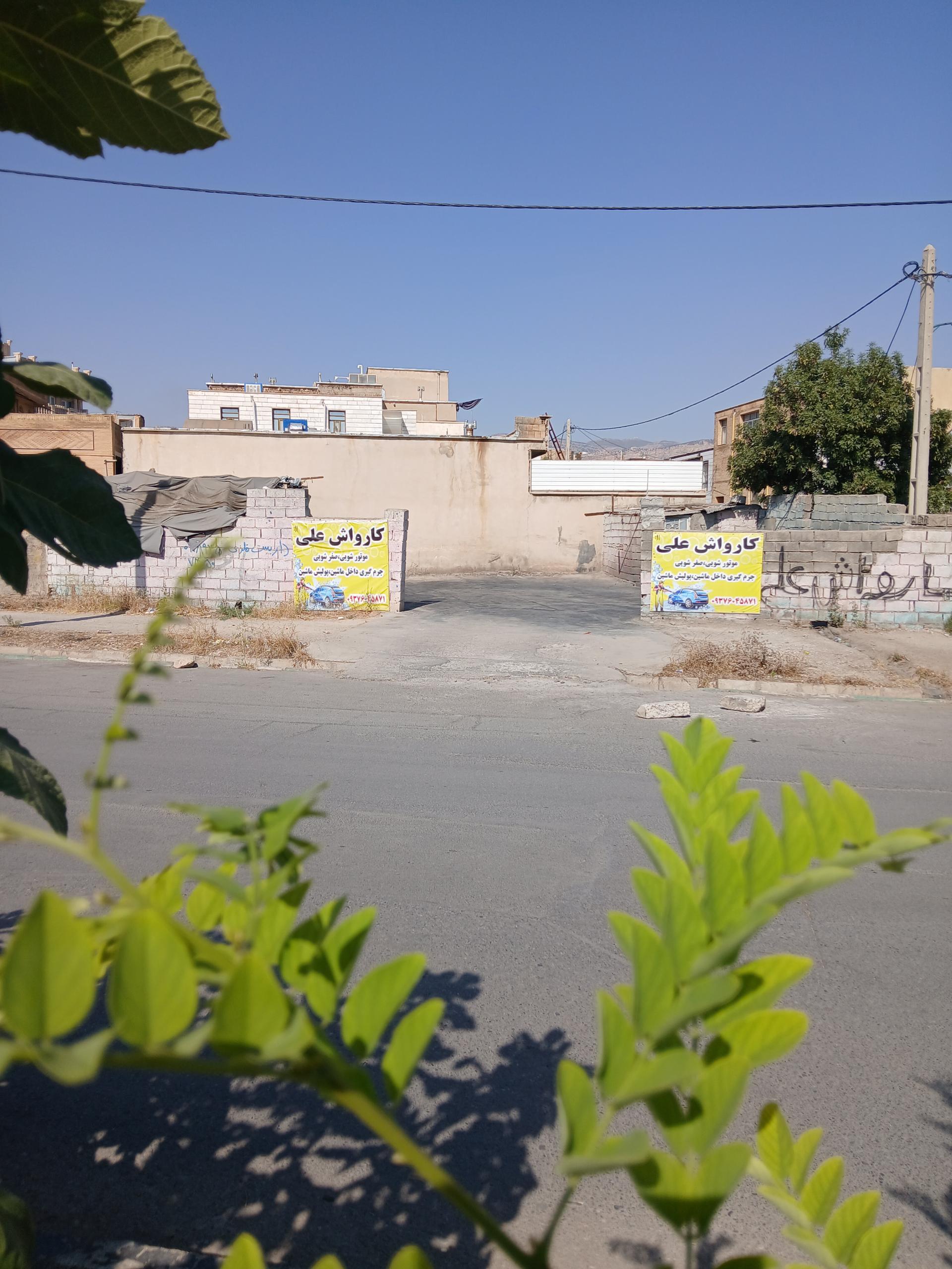 کارواش دلفین
