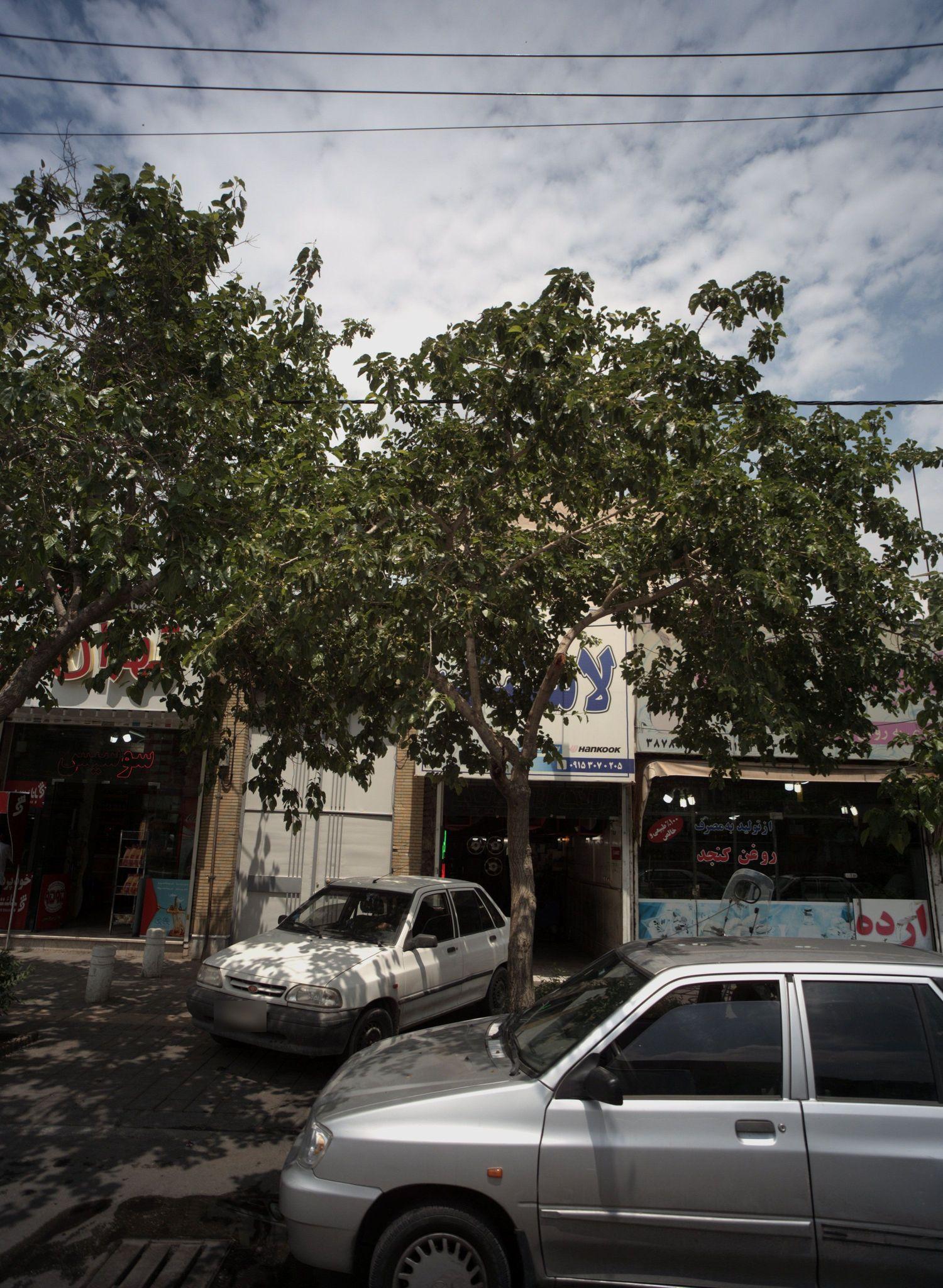 خدمات لاستیک