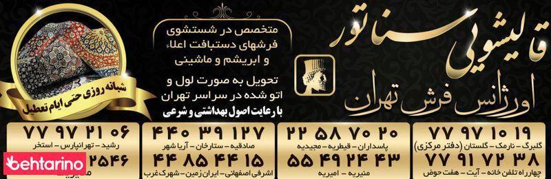 قالیشویی سناتور