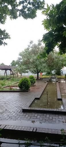 موسسه غیر انتفاعی شاندیز