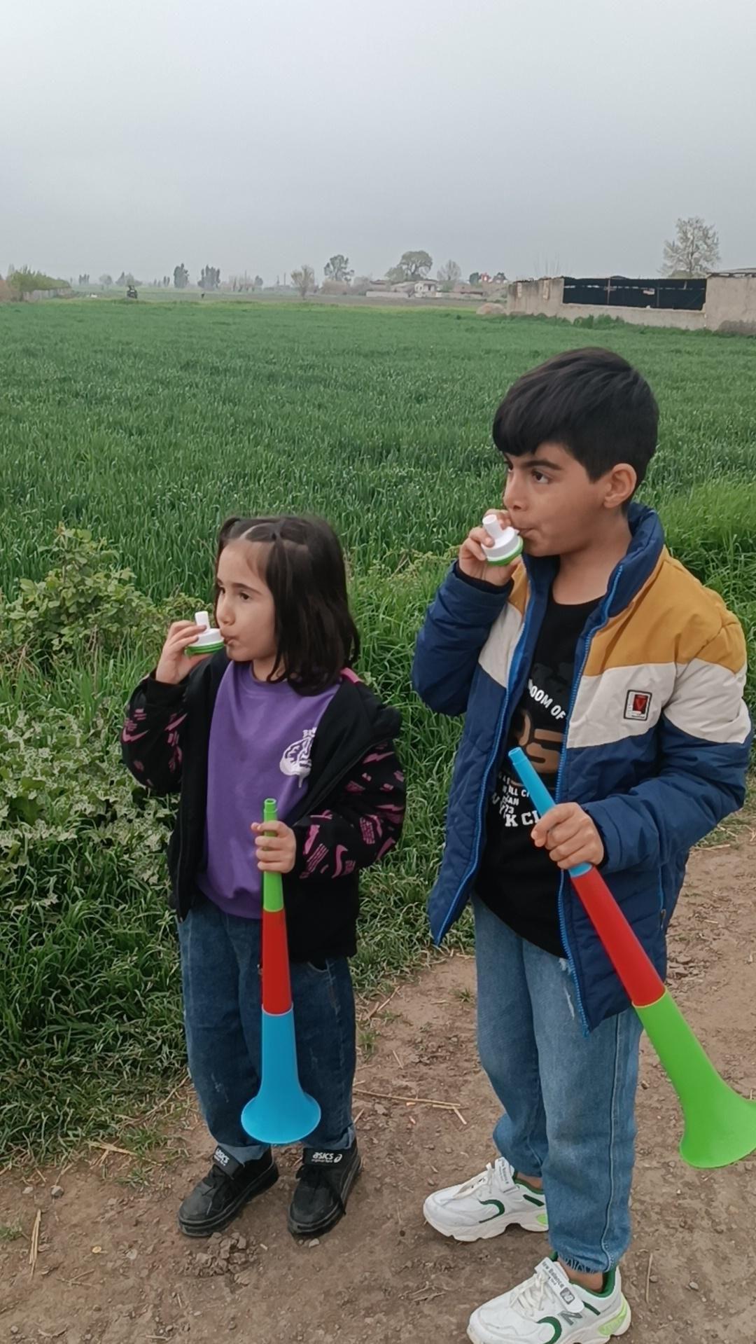 اجاره سوییت شیبک