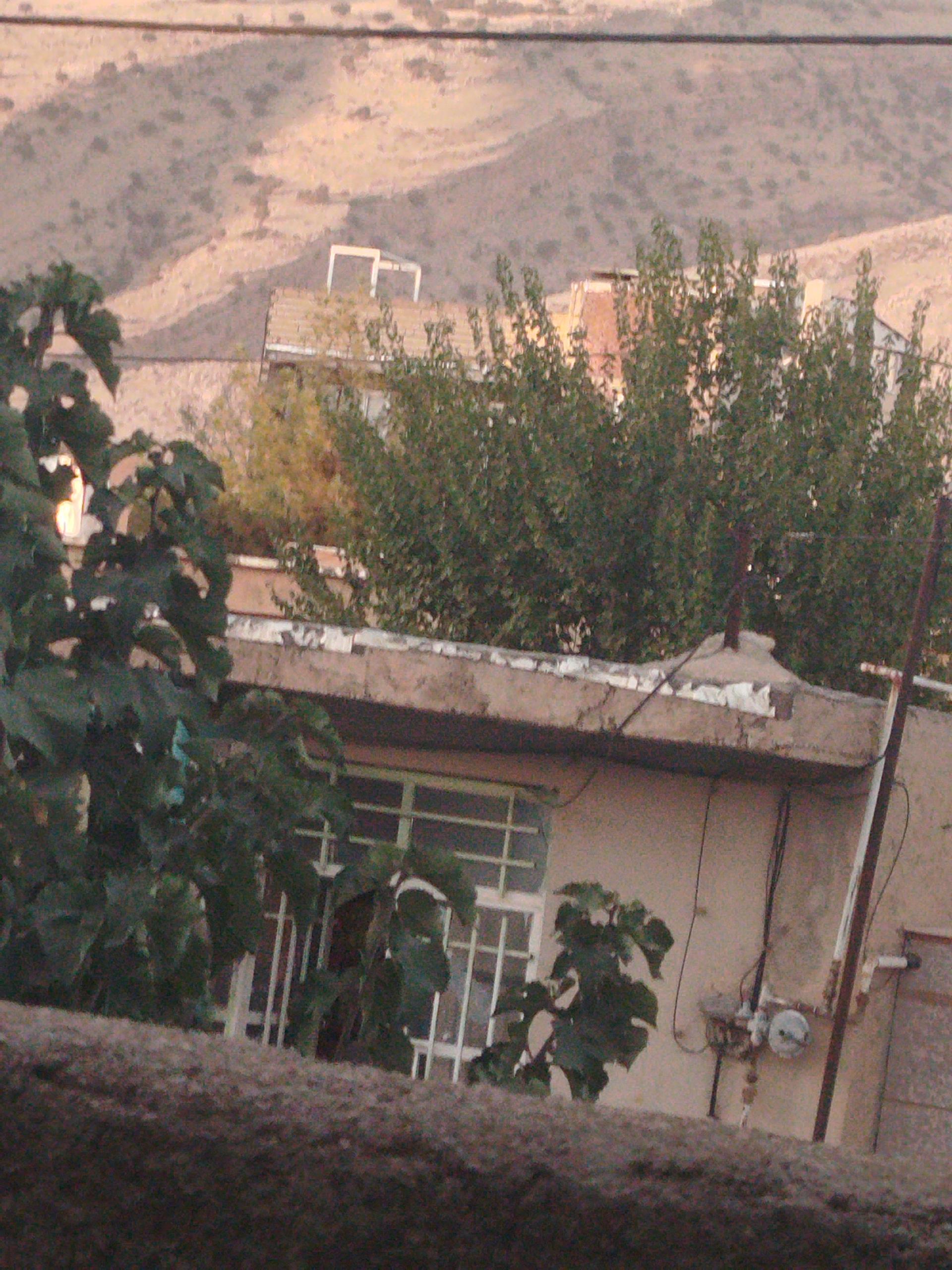 مینی مارکت سجاد
