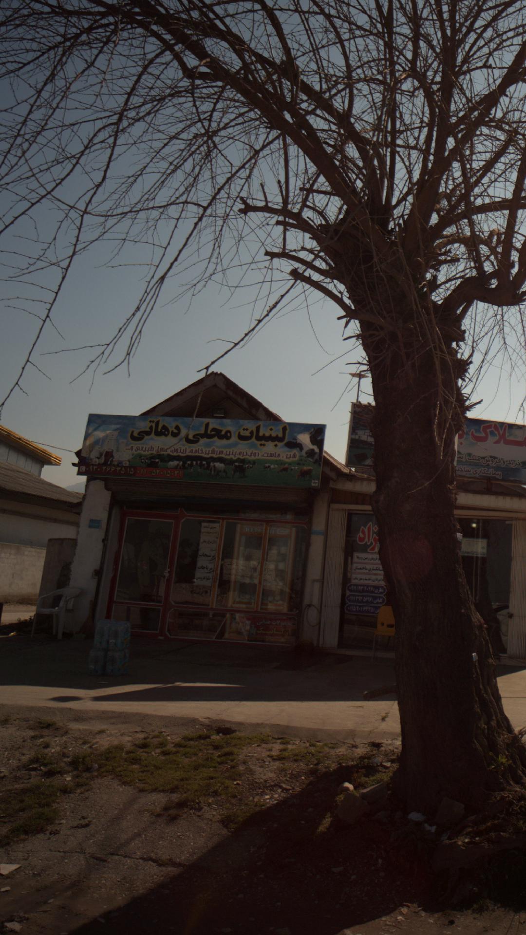 لبنیات افلاک