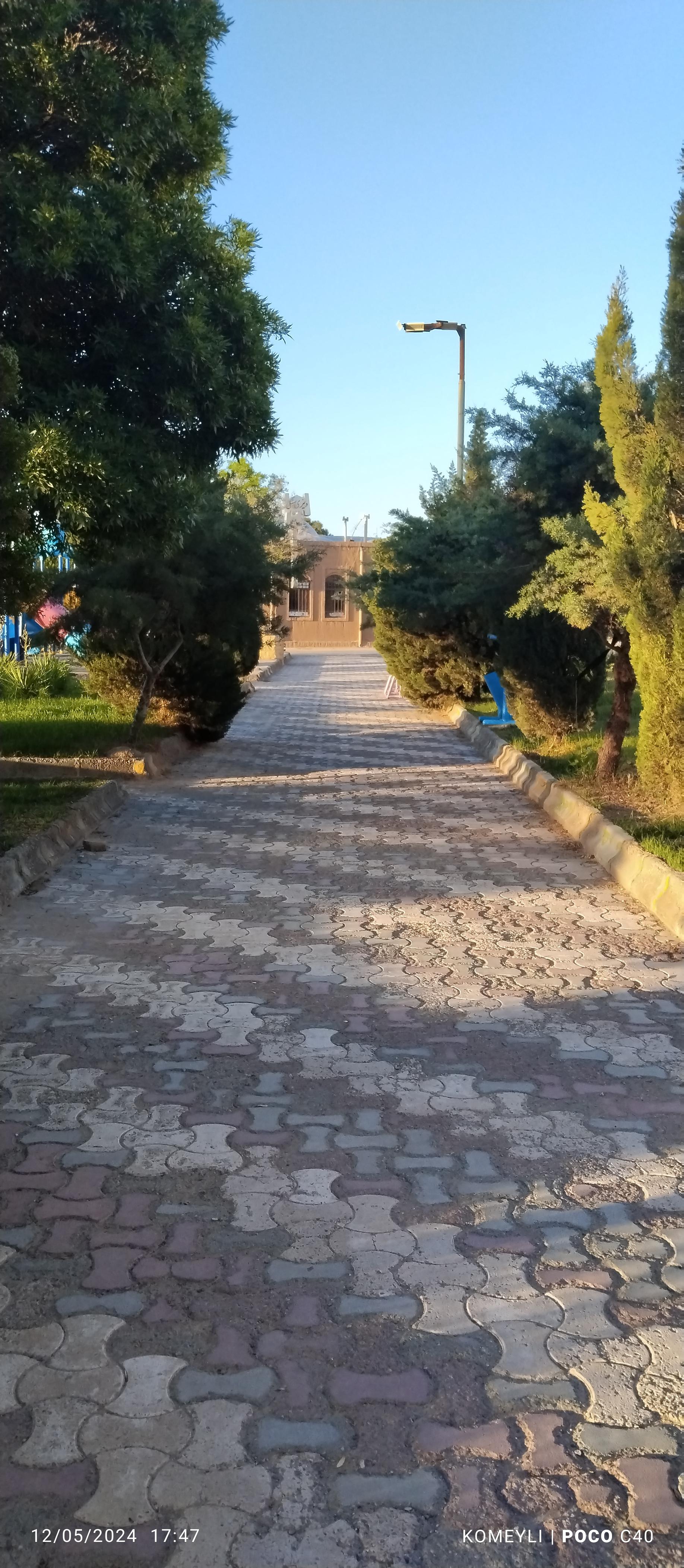 پارک