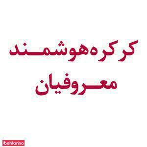 کارگاه فنی معروفیان