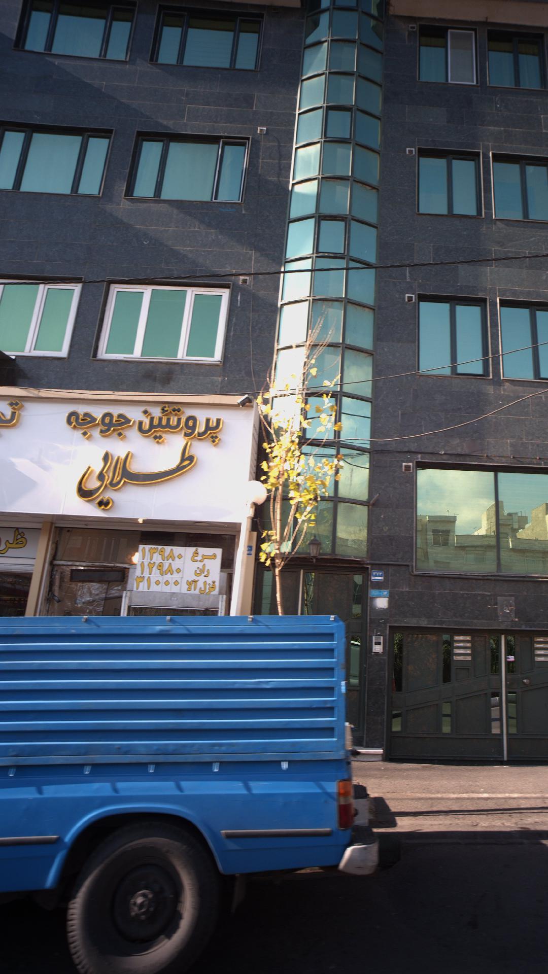 سوپر پروتئین جوجه طلایی