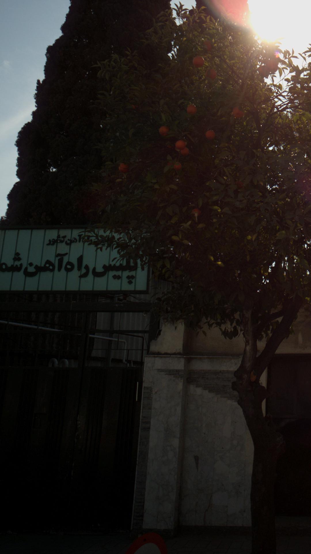 پلیس راهاهن شمال