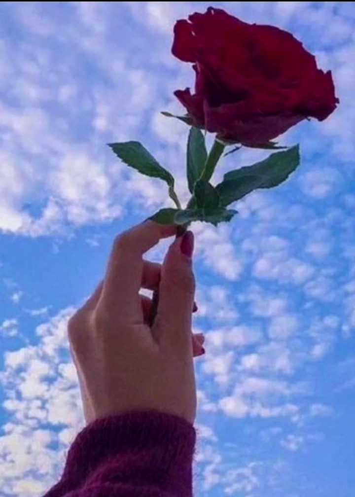 تاکسی تلفنی آنلاین ساوه