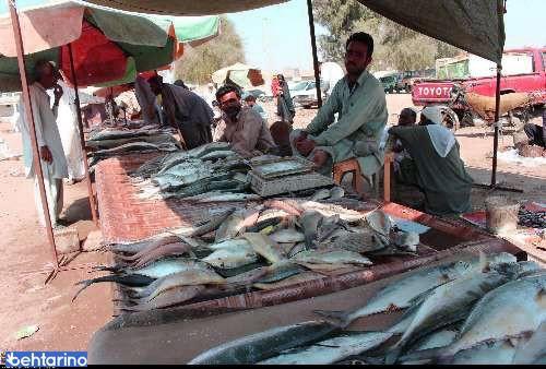 بازار ماهی چابهار