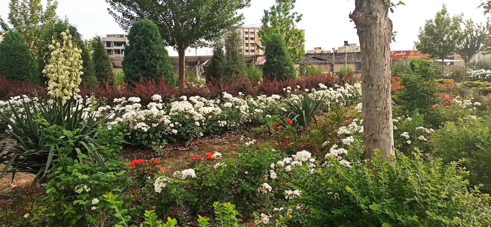 بوستان تندراستی