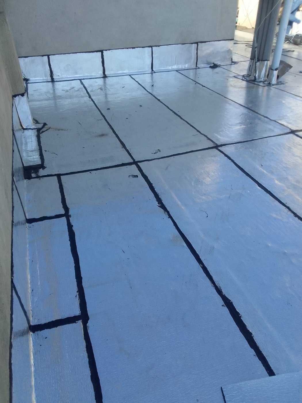 مجتبی عباسی