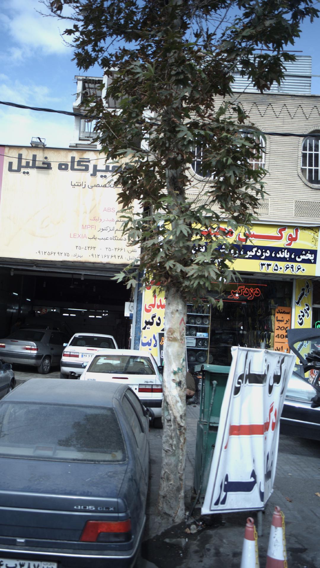 قطعات لوکس مجید