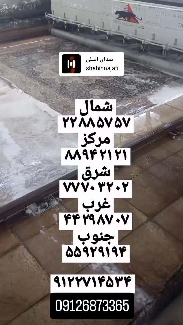 قالیشویی هموطن