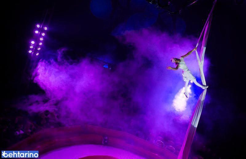 سیرک بین المللی کاردینالی