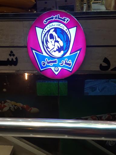 باشگاه بیلیارد شار سیاه