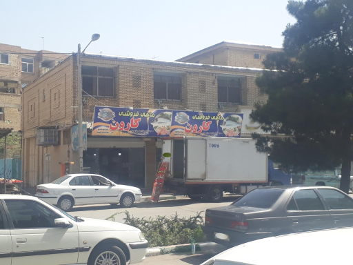 ماهی فروشی کارون