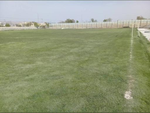 زمین چمن فوتبال
