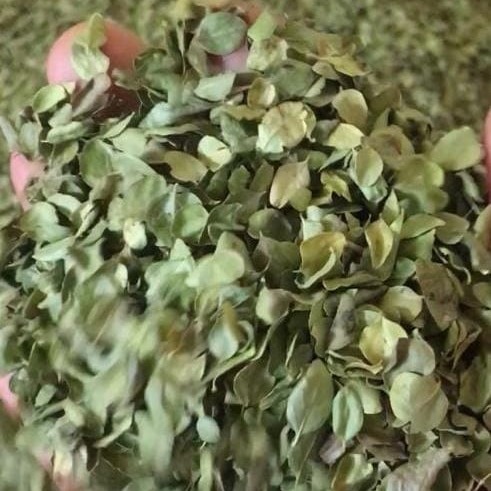 گیاهان دارویی