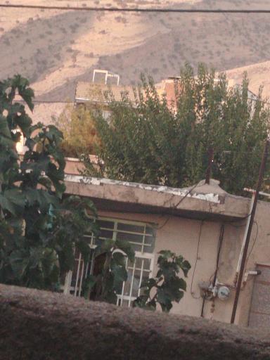 سوپرمارکت همایون