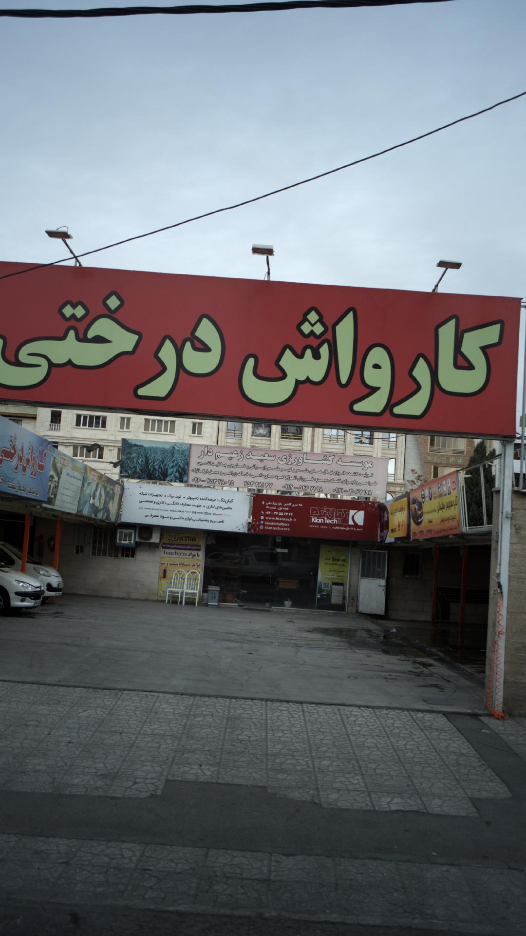 کارواش درختی