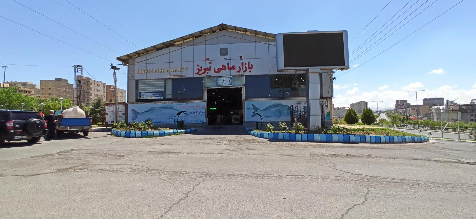 بازار بزرگ ماهی