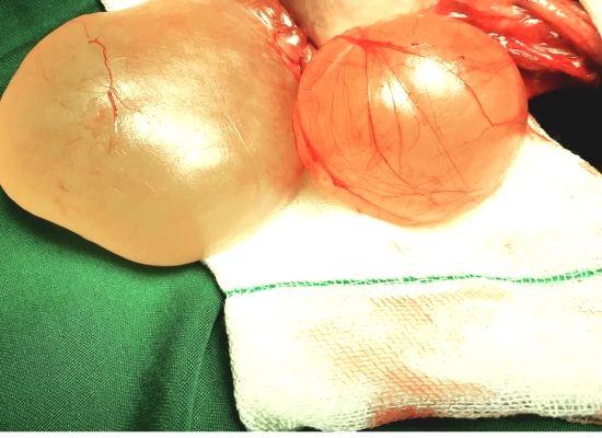 دکتر امیرپرویز کسایی